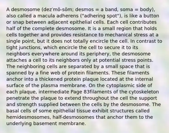 A desmosome (dez′mō-sōm; desmos = a band, soma = body), also called a macula adherens ("adhering spot"), is like a button or snap between adjacent epithelial cells. Each cell contributes half of the complete desmosome. It is a small region that holds cells together and provides resistance to mechanical stress at a single point, but it does not totally encircle the cell. In contrast to tight junctions, which encircle the cell to secure it to its neighbors everywhere around its periphery, the desmosome attaches a cell to its neighbors only at potential stress points. The neighboring cells are separated by a small space that is spanned by a fine web of protein filaments. These filaments anchor into a thickened protein plaque located at the internal surface of the plasma membrane. On the cytoplasmic side of each plaque, intermediate Page 83filaments of the cytoskeleton penetrate the plaque to extend throughout the cell the support and strength supplied between the cells by the desmosome. The basal cells of some <a href='https://www.questionai.com/knowledge/k7dms5lrVY-epithelial-tissue' class='anchor-knowledge'>epithelial tissue</a> exhibit structures called hemidesmosomes, half-desmosomes that anchor them to the underlying basement membrane.