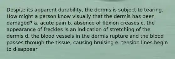 Despite its apparent durability, the dermis is subject to tearing. How might a person know visually that the dermis has been damaged? a. acute pain b. absence of flexion creases c. the appearance of freckles is an indication of stretching of the dermis d. the blood vessels in the dermis rupture and the blood passes through the tissue, causing bruising e. tension lines begin to disappear