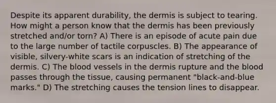 Despite its apparent durability, <a href='https://www.questionai.com/knowledge/kEsXbG6AwS-the-dermis' class='anchor-knowledge'>the dermis</a> is subject to tearing. How might a person know that the dermis has been previously stretched and/or torn? A) There is an episode of acute pain due to the large number of tactile corpuscles. B) The appearance of visible, silvery-white scars is an indication of stretching of the dermis. C) <a href='https://www.questionai.com/knowledge/k7oXMfj7lk-the-blood' class='anchor-knowledge'>the blood</a> vessels in the dermis rupture and the blood passes through the tissue, causing permanent "black-and-blue marks." D) The stretching causes the tension lines to disappear.