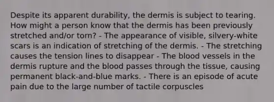 Despite its apparent durability, the dermis is subject to tearing. How might a person know that the dermis has been previously stretched and/or torn? - The appearance of visible, silvery-white scars is an indication of stretching of the dermis. - The stretching causes the tension lines to disappear - The blood vessels in the dermis rupture and the blood passes through the tissue, causing permanent black-and-blue marks. - There is an episode of acute pain due to the large number of tactile corpuscles