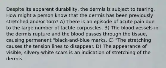 Despite its apparent durability, the dermis is subject to tearing. How might a person know that the dermis has been previously stretched and/or torn? A) There is an episode of acute pain due to the large number of tactile corpuscles. B) The blood vessels in the dermis rupture and the blood passes through the tissue, causing permanent "black-and-blue marks. C) "The stretching causes the tension lines to disappear. D) The appearance of visible, silvery-white scars is an indication of stretching of the dermis.