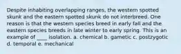 Despite inhabiting overlapping ranges, the western spotted skunk and the eastern spotted skunk do not interbreed. One reason is that the western species breed in early fall and the eastern species breeds in late winter to early spring. This is an example of ____ isolation. a. chemical b. gametic c. postzygotic d. temporal e. mechanical