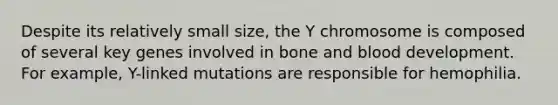 Despite its relatively small size, the Y chromosome is composed of several key genes involved in bone and blood development. For example, Y-linked mutations are responsible for hemophilia.