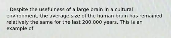 - Despite the usefulness of a large brain in a cultural environment, the average size of the human brain has remained relatively the same for the last 200,000 years. This is an example of