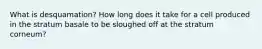 What is desquamation? How long does it take for a cell produced in the stratum basale to be sloughed off at the stratum corneum?