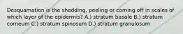 Desquamation is the shedding, peeling or coming off in scales of which layer of the epidermis? A.) stratum basale B.) stratum corneum C.) stratum spinosum D.) stratum granulosum