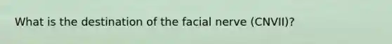 What is the destination of the facial nerve (CNVII)?