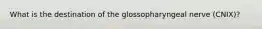 What is the destination of the glossopharyngeal nerve (CNIX)?