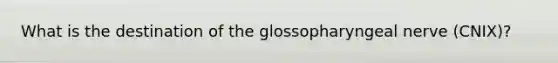 What is the destination of the glossopharyngeal nerve (CNIX)?