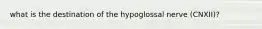 what is the destination of the hypoglossal nerve (CNXII)?