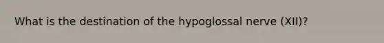 What is the destination of the hypoglossal nerve (XII)?