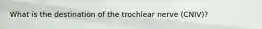 What is the destination of the trochlear nerve (CNIV)?