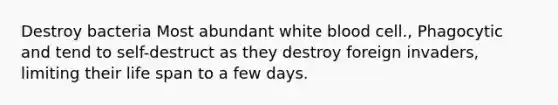 Destroy bacteria Most abundant white blood cell., Phagocytic and tend to self-destruct as they destroy foreign invaders, limiting their life span to a few days.