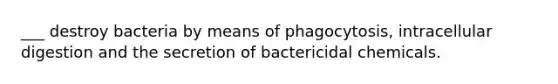 ___ destroy bacteria by means of phagocytosis, intracellular digestion and the secretion of bactericidal chemicals.