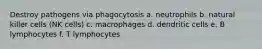 Destroy pathogens via phagocytosis a. neutrophils b. natural killer cells (NK cells) c. macrophages d. dendritic cells e. B lymphocytes f. T lymphocytes