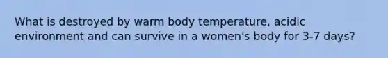 What is destroyed by warm body temperature, acidic environment and can survive in a women's body for 3-7 days?