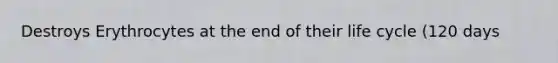 Destroys Erythrocytes at the end of their life cycle (120 days