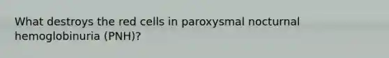 What destroys the red cells in paroxysmal nocturnal hemoglobinuria (PNH)?