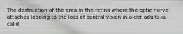 The destruction of the area in the retina where the optic nerve attaches leading to the loss of central vision in older adults is calld