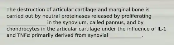 The destruction of articular cartilage and marginal bone is carried out by neutral proteinases released by proliferating ________________ in the synovium, called pannus, and by chondrocytes in the articular cartilage under the influence of IL-1 and TNFα primarily derived from synovial _____________.