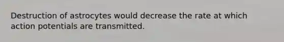 Destruction of astrocytes would decrease the rate at which action potentials are transmitted.