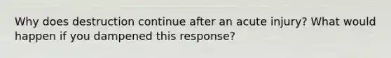 Why does destruction continue after an acute injury? What would happen if you dampened this response?