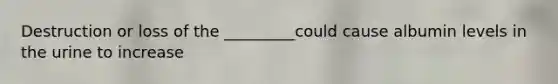 Destruction or loss of the _________could cause albumin levels in the urine to increase