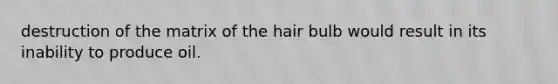 destruction of the matrix of the hair bulb would result in its inability to produce oil.