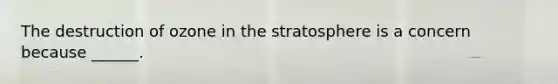 The destruction of ozone in the stratosphere is a concern because ______.