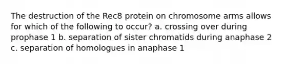 The destruction of the Rec8 protein on chromosome arms allows for which of the following to occur? a. crossing over during prophase 1 b. separation of sister chromatids during anaphase 2 c. separation of homologues in anaphase 1