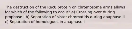 The destruction of the Rec8 protein on chromosome arms allows for which of the following to occur? a) Crossing over during prophase I b) Separation of sister chromatids during anaphase II c) Separation of homologues in anaphase I