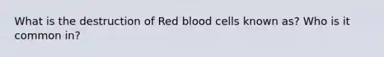 What is the destruction of Red blood cells known as? Who is it common in?