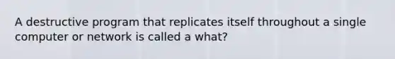 A destructive program that replicates itself throughout a single computer or network is called a what?