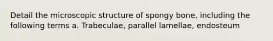 Detail the microscopic structure of spongy bone, including the following terms a. Trabeculae, parallel lamellae, endosteum