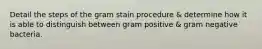 Detail the steps of the gram stain procedure & determine how it is able to distinguish between gram positive & gram negative bacteria.