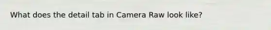 What does the detail tab in Camera Raw look like?