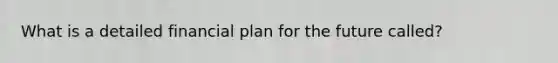 What is a detailed financial plan for the future called?