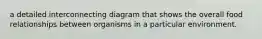 a detailed interconnecting diagram that shows the overall food relationships between organisms in a particular environment.