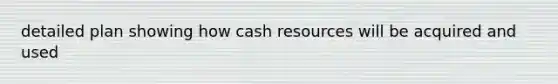 detailed plan showing how cash resources will be acquired and used