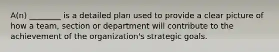 A(n) ________ is a detailed plan used to provide a clear picture of how a team, section or department will contribute to the achievement of the organization's strategic goals.