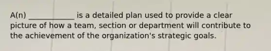 A(n) ____________ is a detailed plan used to provide a clear picture of how a team, section or department will contribute to the achievement of the organization's strategic goals.