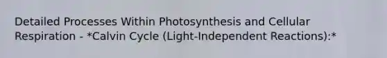 Detailed Processes Within Photosynthesis and Cellular Respiration - *Calvin Cycle (Light-Independent Reactions):*