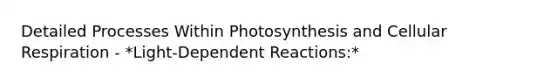 Detailed Processes Within Photosynthesis and Cellular Respiration - *Light-Dependent Reactions:*