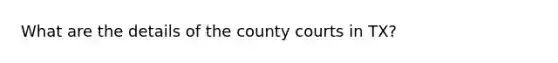 What are the details of the county courts in TX?