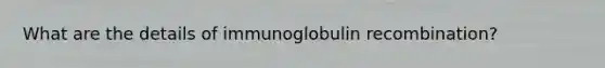 What are the details of immunoglobulin recombination?