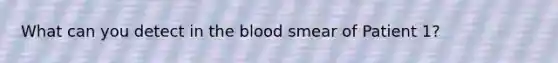 What can you detect in the blood smear of Patient 1?