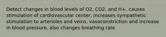 Detect changes in blood levels of O2, CO2, and H+, causes stimulation of cardiovascular center, increases sympathetic stimulation to arterioles and veins, vasoconstriction and increase in blood pressure, also changes breathing rate