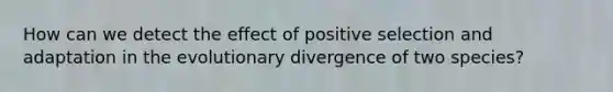 How can we detect the effect of positive selection and adaptation in the evolutionary divergence of two species?