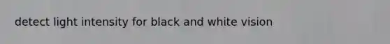 detect light intensity for black and white vision