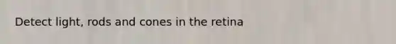 Detect light, rods and cones in the retina